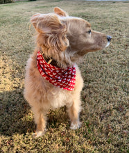 Load image into Gallery viewer, Red Valentine Heart Bandana
