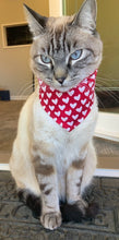 Load image into Gallery viewer, Red Valentine Heart Bandana
