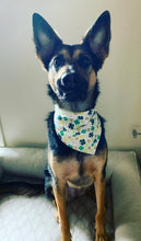 Load image into Gallery viewer, Shamrock Bandana
