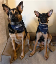 Load image into Gallery viewer, Dallas Cowboys Bandana
