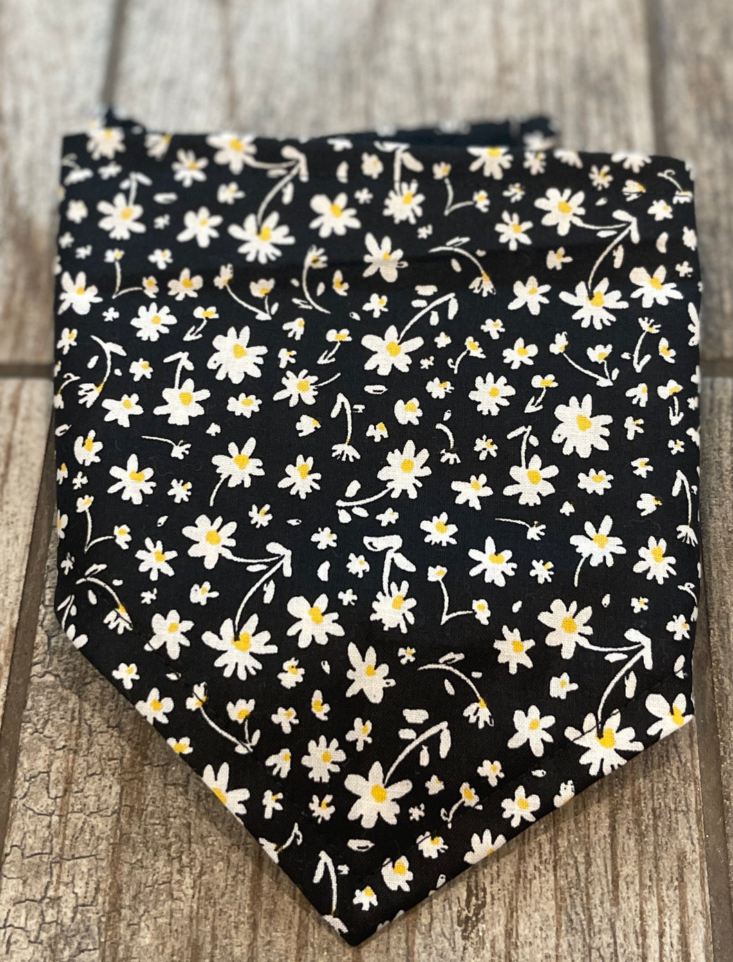 Daisies at Midnight