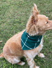 Load image into Gallery viewer, Green Flannel Bandana
