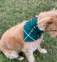 Load image into Gallery viewer, Green Flannel Bandana
