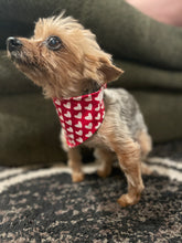 Load image into Gallery viewer, Red Valentine Heart Bandana
