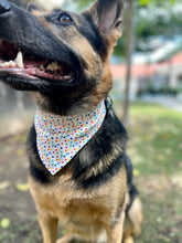 Load image into Gallery viewer, Birthday Polka Dot Bandana
